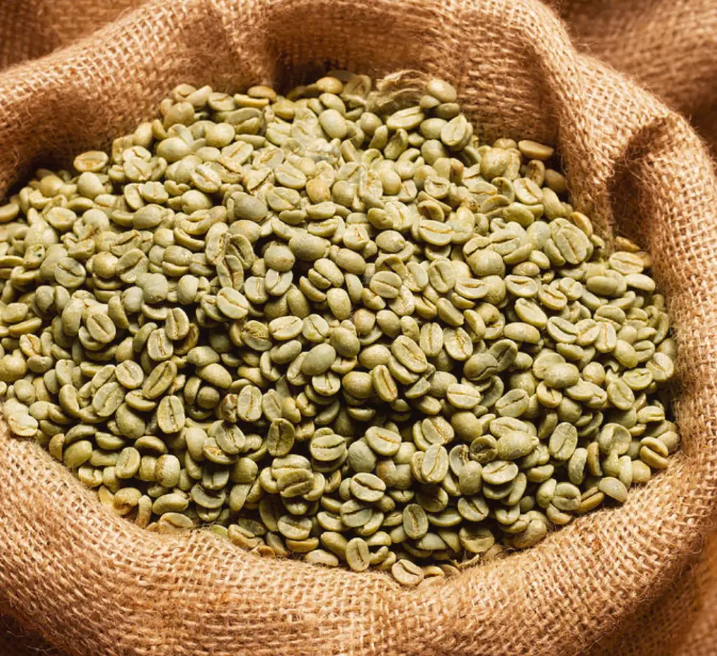 Natural Uganda Robusta Coffee Beans Screen 18 LOT0406